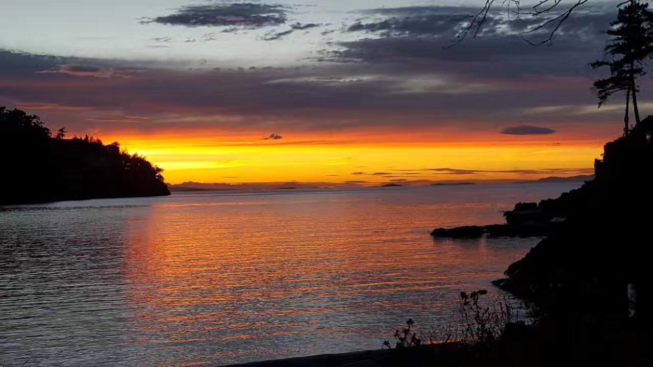 Gulfview Drive Ocean View B&B Nanaimo Dış mekan fotoğraf